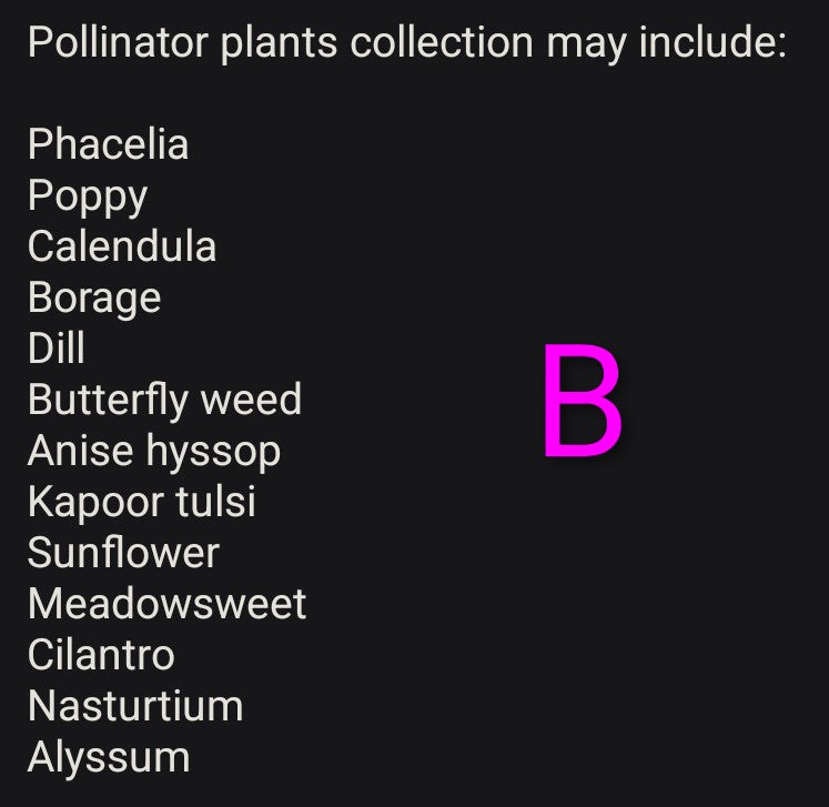 Seed starting kit (Pre-order for pickup on May 3rd or 10th)